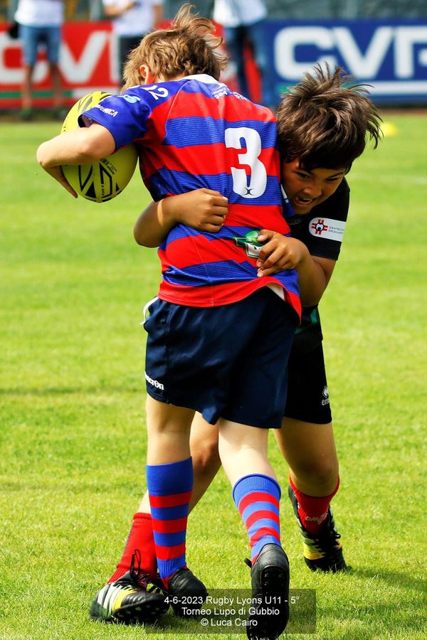 Torneo Lupo di Gubbio. Rugby Lyons Under 11
